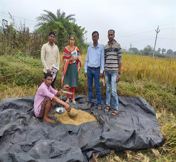 Kumuram Bheem District                                                                                                                                                                                                                                     - Crop Cutting Expts.,                                                                                                                                   - PMFBY-Kharif 2019-20 -Paddy harvesting at Achelli village in sirpur-T Mandal, Supervised by Ch. Nageshwar rao, DySO, Jaya Bhaskar, MPOS, Insurance agent and Shobarani, AEO attended.                                                                           - dt.03/12/2019          